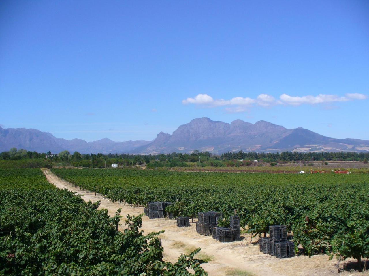 Hartebeeskraal Selfcatering cottage Paarl Buitenkant foto